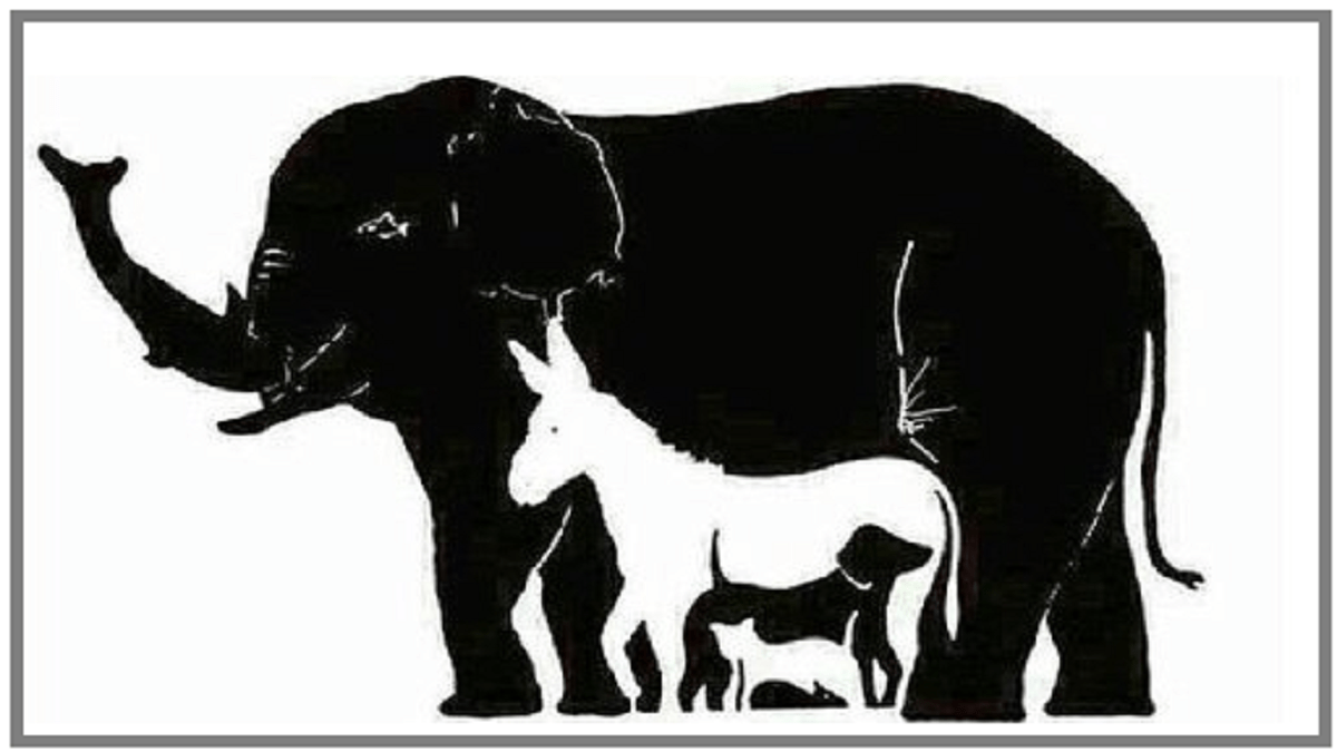 Optical Illusion: How many animals can you see in the picture? 